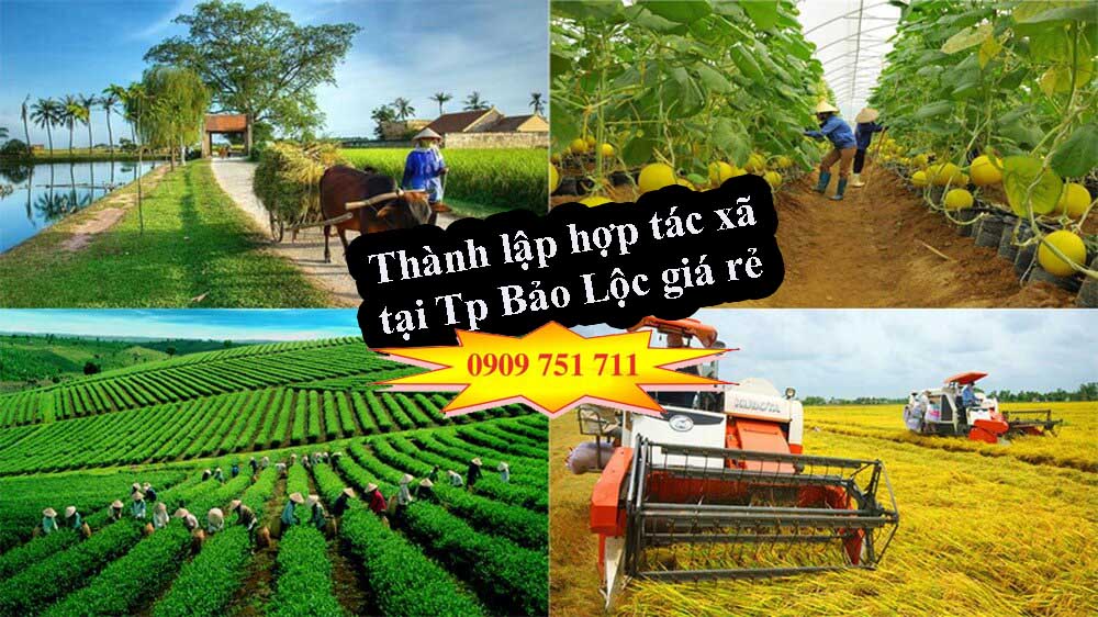 dịch vụ thành lập hợp tác xã tại TP Bảo Lộc giá rẻ