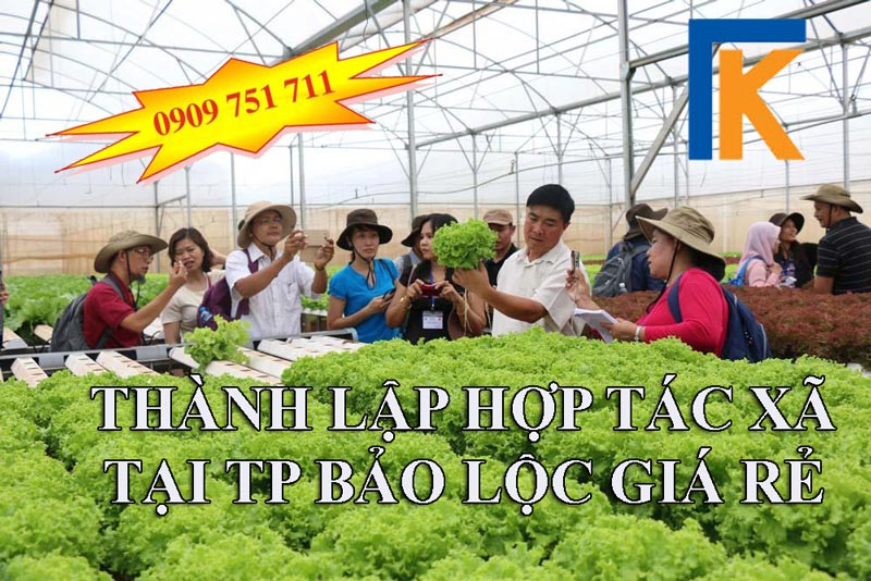 Thành lập hợp tác xã tại TP Bảo Lộc giá rẻ