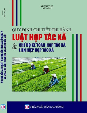 chế độ kế toán hợp tác xã được quy định cụ thể như thế nào?