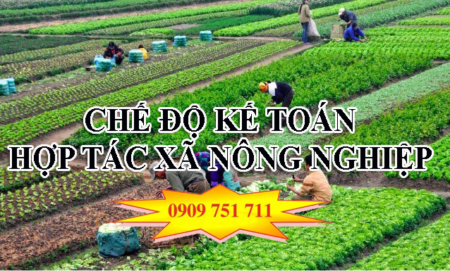 Chế độ kế toán hợp tác xã nông nghiệp