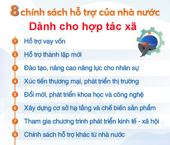 dịch vụ thành lập hợp tác xã giá rẻ chuyên nghiệp