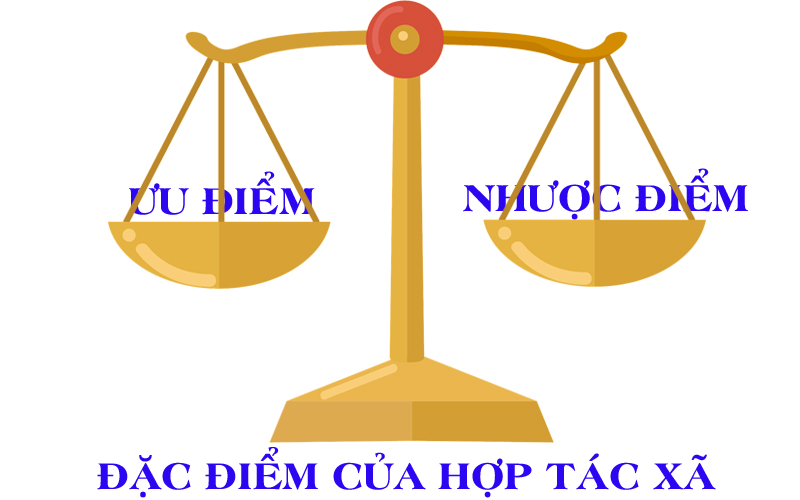 dịch vụ thành lập hợp tác xã tại TP Bảo Lộc