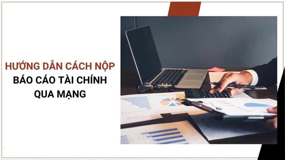 Hướng dẫn nộp báo cáo tài chính năm 2022 và điều tra thống kê năm 2023 cho cơ quan thống kê online