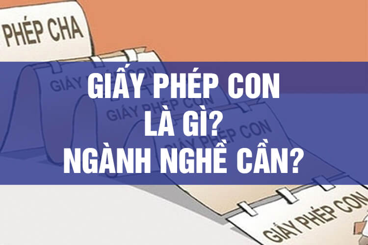 Các loại giấy phép con