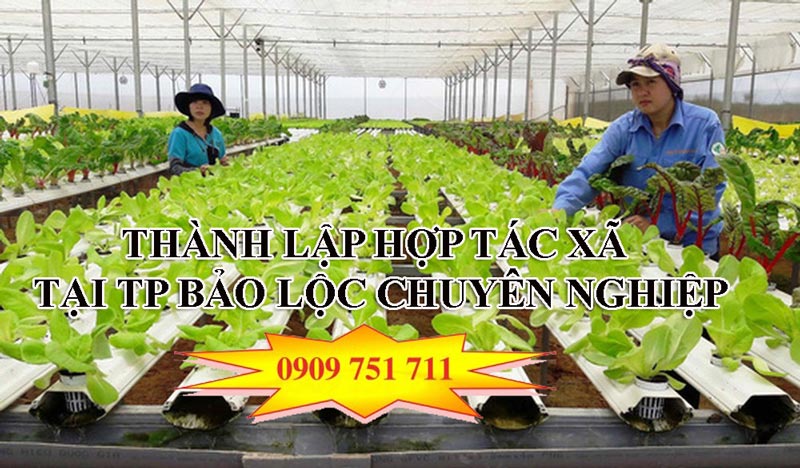 Dịch vụ thành lập hợp tác xã tại TP Bảo Lộc chuyên nghiệp