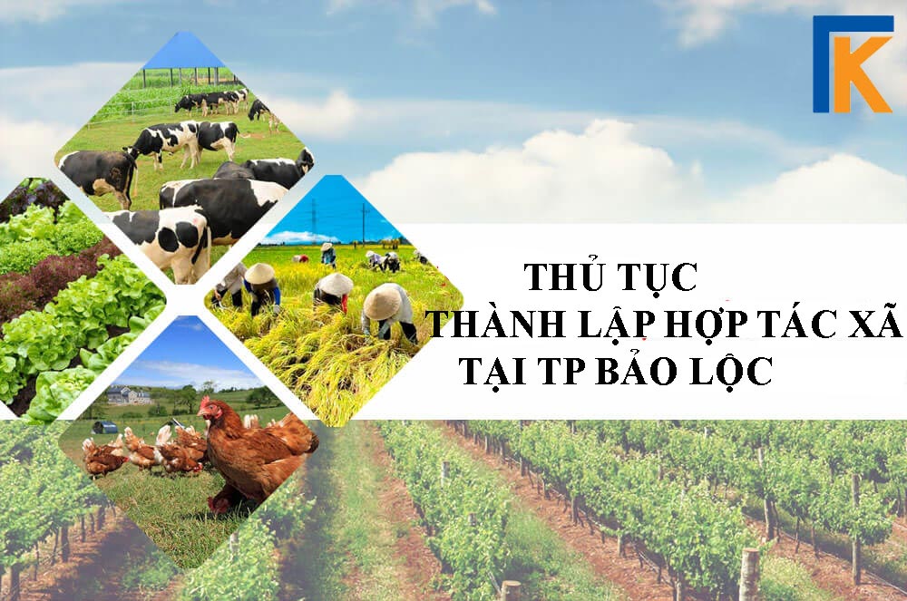 thủ tục thành lập hợp tác xã tại TP Bảo Lộc