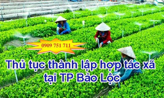 Thủ tục thành lập hợp tác xã tại TP Bảo Lộc