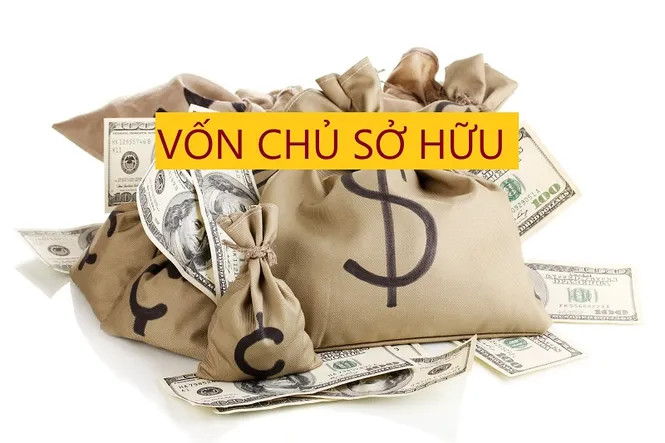 Hiểu thế nào về vốn chủ sở hữu, khác gì với vốn điều lệ